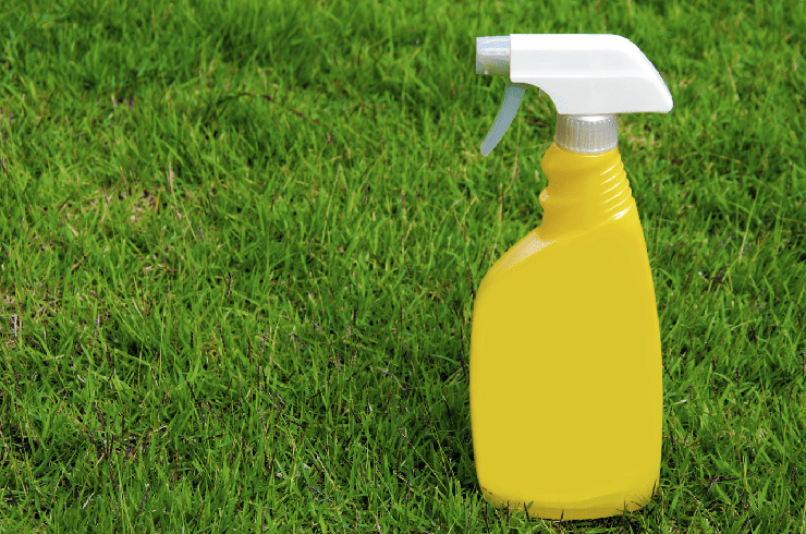 FRESHFEEL TURF